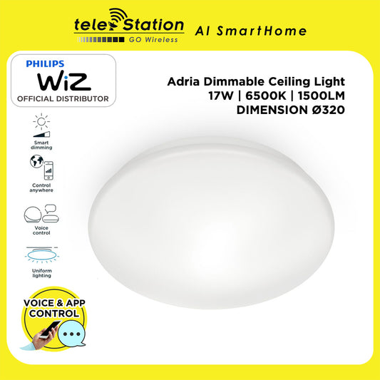 [BUNDLE] 4x Philips WIZ Adria Dimmable Ceiling Light 17W 65K + Installation